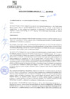 Vista preliminar de documento rgm21311