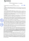 Vista preliminar de documento rgm21316