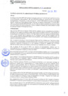 Vista preliminar de documento rgm21320