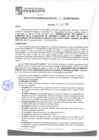 Vista preliminar de documento rgm21321