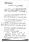 Vista preliminar de documento rgm21322