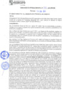 Vista preliminar de documento rgm21325