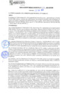 Vista preliminar de documento rgm21337