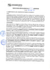 Vista preliminar de documento rgm21345