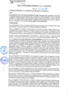 Vista preliminar de documento rgm21341