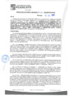Vista preliminar de documento rgm21350