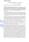 Vista preliminar de documento rgm21361