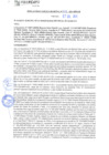 Vista preliminar de documento rgm21362