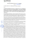 Vista preliminar de documento rgm21363