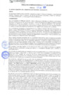 Vista preliminar de documento rgm21368
