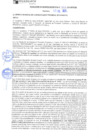 Vista preliminar de documento rgm21369