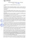 Vista preliminar de documento rgm21370