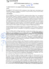 Vista preliminar de documento rgm21377