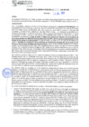 Vista preliminar de documento rgm21375