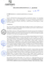 Vista preliminar de documento rgm21379