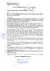 Vista preliminar de documento rgm21381