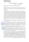 Vista preliminar de documento rgm21385