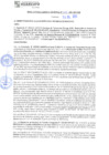 Vista preliminar de documento rgm21382