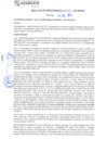 Vista preliminar de documento rgm21384
