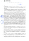Vista preliminar de documento rgm21383
