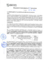 Vista preliminar de documento rgm21390