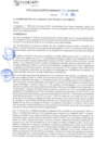 Vista preliminar de documento rgm21393