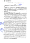 Vista preliminar de documento rgm21392