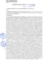 Vista preliminar de documento rgm21394