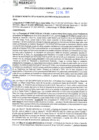 Vista preliminar de documento rgm21396