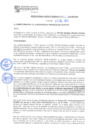 Vista preliminar de documento rgm21405
