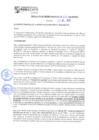 Vista preliminar de documento rgm21404