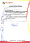 Vista preliminar de documento om21656