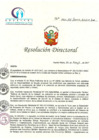 Vista preliminar de documento RDN_163_05_2017_HCLLHSA_CONFORMAR EQUIPOS DE MEJORA DE LA CALIDAD