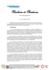 Vista preliminar de documento RP-101-2024-PE