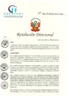 Vista preliminar de documento RDN_174_05_2017_HCLLHSA_PLAN DE TRABAJO PROGRAMA PRESEUPUESTAL