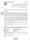 Vista preliminar de documento 0047-01-02-2018-COORDINADOR DEL PROGRAMA DE INCENTIVOS  2018