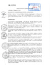 Vista preliminar de documento DA-11-2024-MDJM