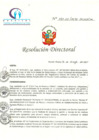 Vista preliminar de documento RDN_185_05_2017_HCLLHSA_APROBAR REGLAMENTO INTERNO COMITE DE GESTION Y MANEJO DE RESIDUOS SOLIDOS