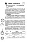 Vista preliminar de documento rer-487-2024-gore-ica-gr