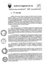 Vista preliminar de documento rer-486-2024-gore-ica-gr