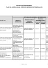 Vista preliminar de documento Plan de Acción Anual - Sección Medidas de Remediación