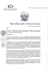 Vista preliminar de documento RD N°266-08-2024-DE-HCLLH-MINSA