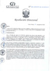 Vista preliminar de documento RD N°261-08-2024-DE-HCLLH-MINSA