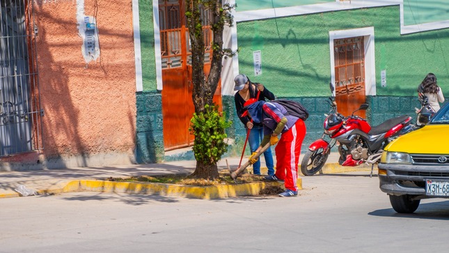 💯Jornada De Recuperacion De Areas Verdes En Abancay: Una Iniciativa De La Municipalidad Por El Mejoramiento Del Ornato Público De La Ciudad