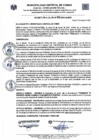 Vista preliminar de documento DA N°012-2024