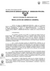 Vista preliminar de documento 039-2024-GRAL