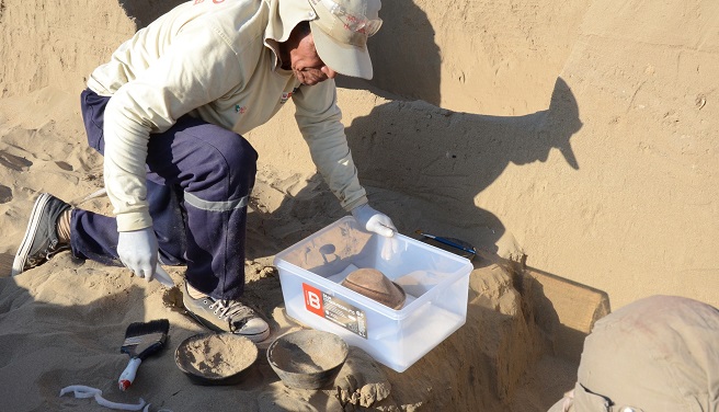 Investigación y conservación en el Conjunto Amurallado 2 de Huaca Bandera de Pacora