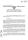 Vista preliminar de documento 040-2024-GRAL