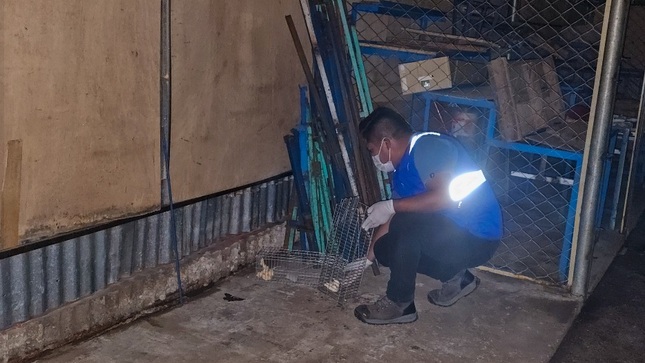 Se realiza control de roedores en el Mercado Unión y Dignidad de la ciudad de Puno