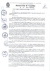 Vista preliminar de documento Resolución de Alcadía N° 114-2024
